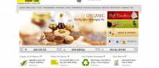 Ecommerce Website Design and Development