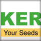 best web design company bangladesh kernel