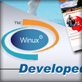 winux best web design company bangladesh