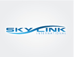 slink dhaka business