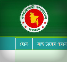 Fish website built by Roopokar Bangladesh