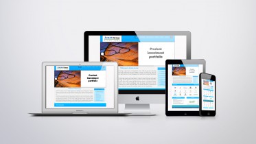 Business website development