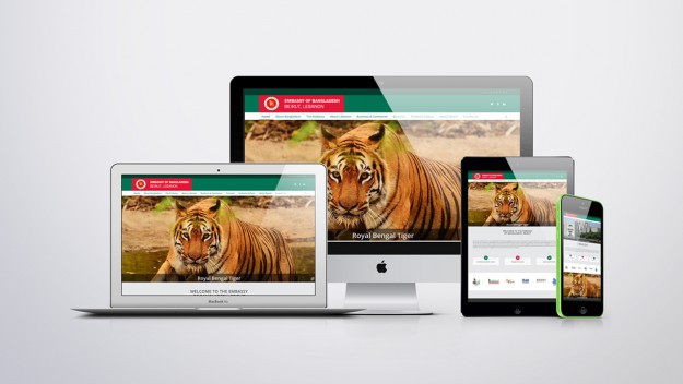 Embassy of Bangladesh Government, Professional website development for embassy