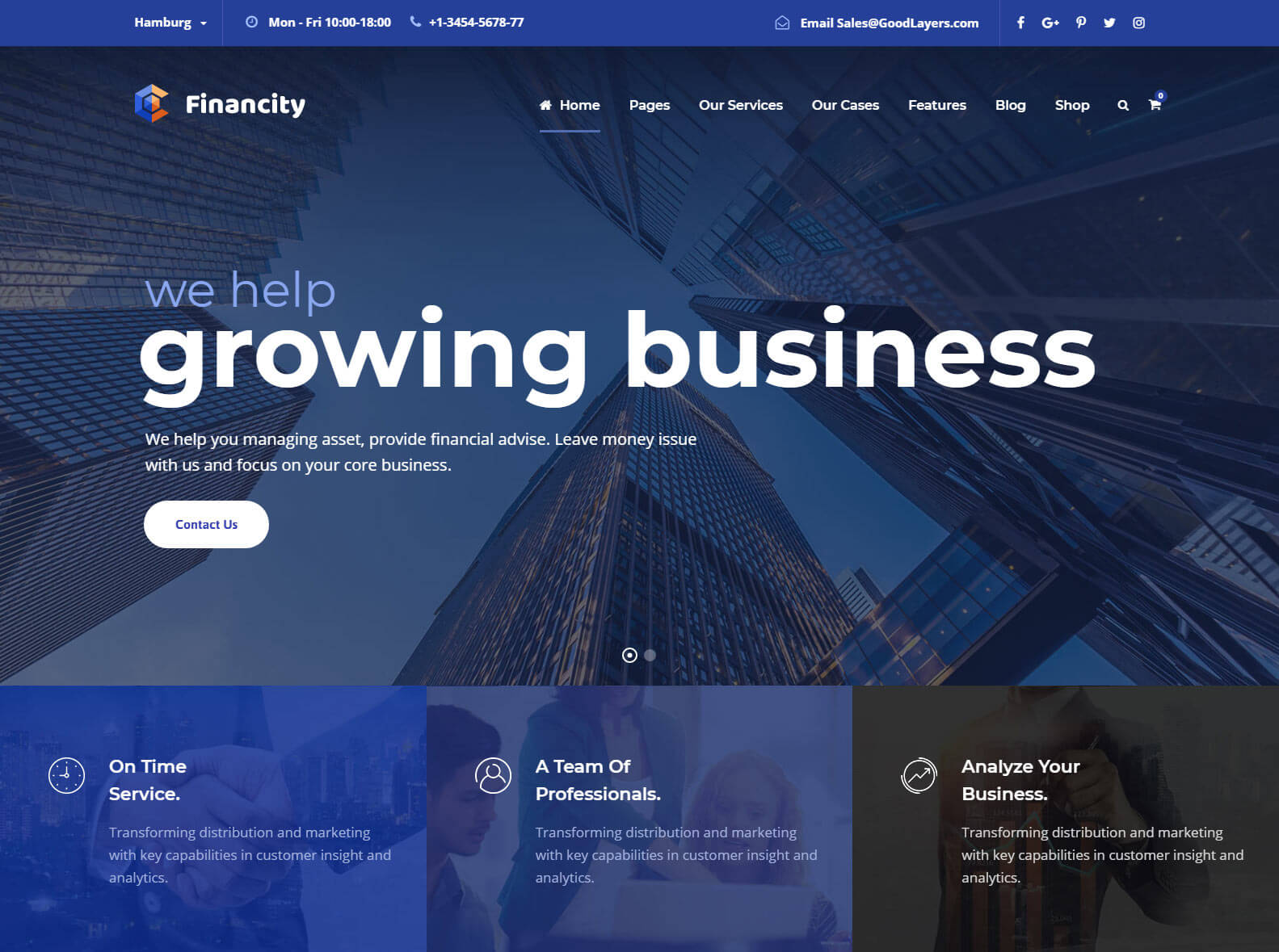 corporate website theme